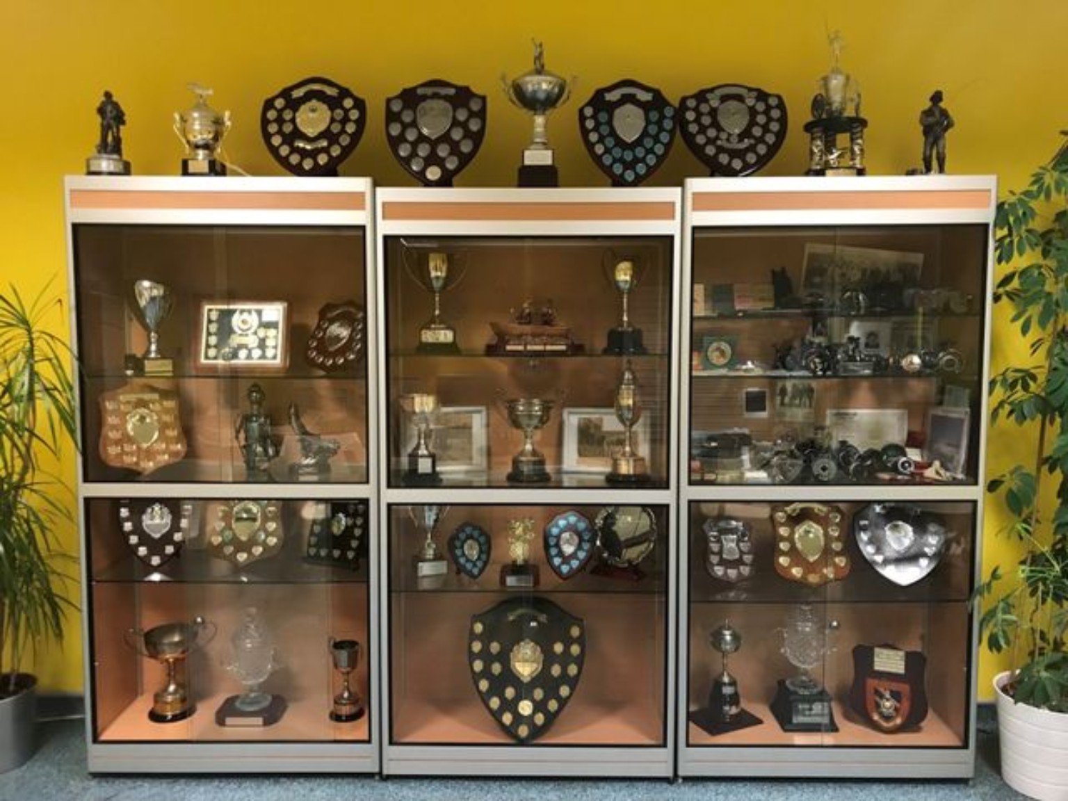 Airdrie and District Angling Club competition trophies and shields on display